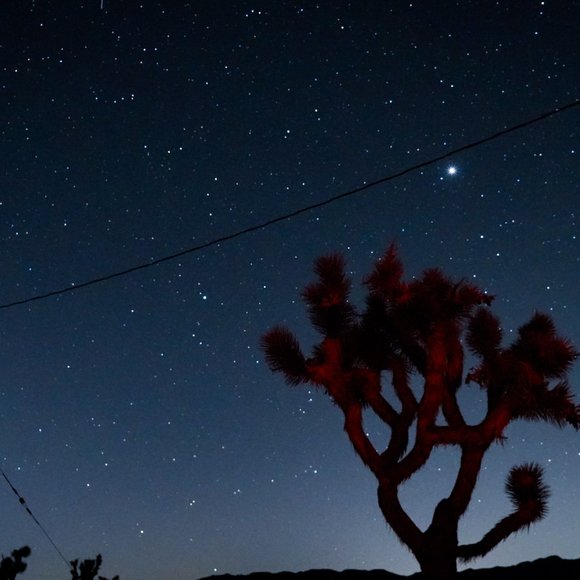 👋 Danielle Vincent's my name. Vintage cowgirl style's my game. - Picture 4 of 16